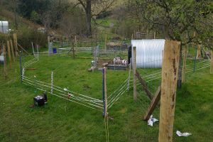 pig pen under construction