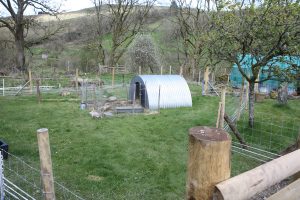 pigs new pen completed