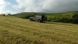 Gathering hay bales Nicole and landy