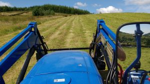 tedding the newly cut rows