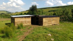 Completed sheep shelter and hay store