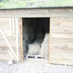 hay shed