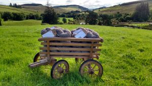 coloured ryeland wool from Scotland