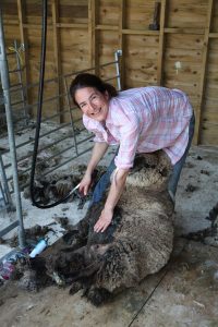 nicole shearing
