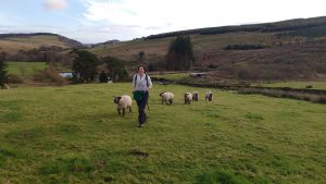 coming to meet Wallace