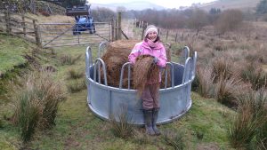 Nicole with haylage