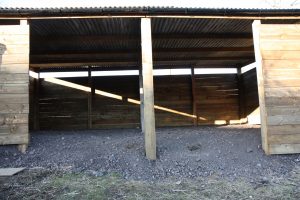 lambing shed entrance