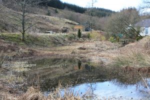 Bramble free zone