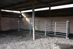 lambing pens