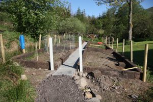 veg patch with stobs