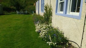 flowers front of house