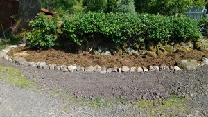 new flower bed - mulched