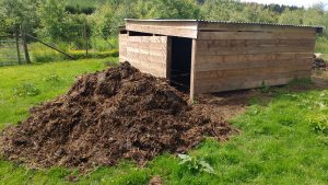 sheep poo pile