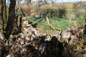 hen run stone dyke collapsed