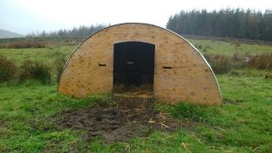 sarka warm and dry in pig arc