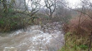 stroanshalloch burn torrent