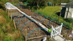 veggie patch netted
