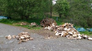wood chopped