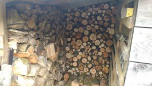 wood shed almost full