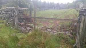 stone dyke repair day 2 start