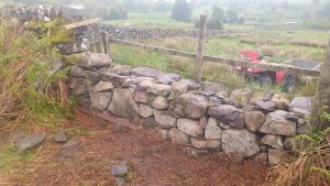 stone dyke repair