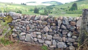 stone dyke repair
