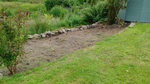 flower bed cleared
