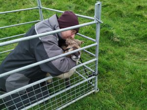 adrian being combi clamp