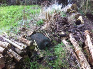 hedgehog-house-before