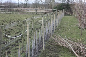 new hedge