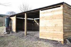 lambing shed