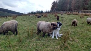 Ursi and George