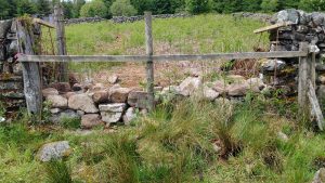 stone dyke repair day 3 end other side