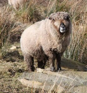 Vi on her favourite rock