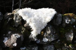 coloured ryeland fleece felted rug