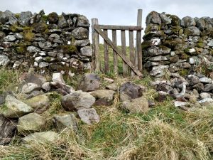 collecting stones for repairing stone dyke