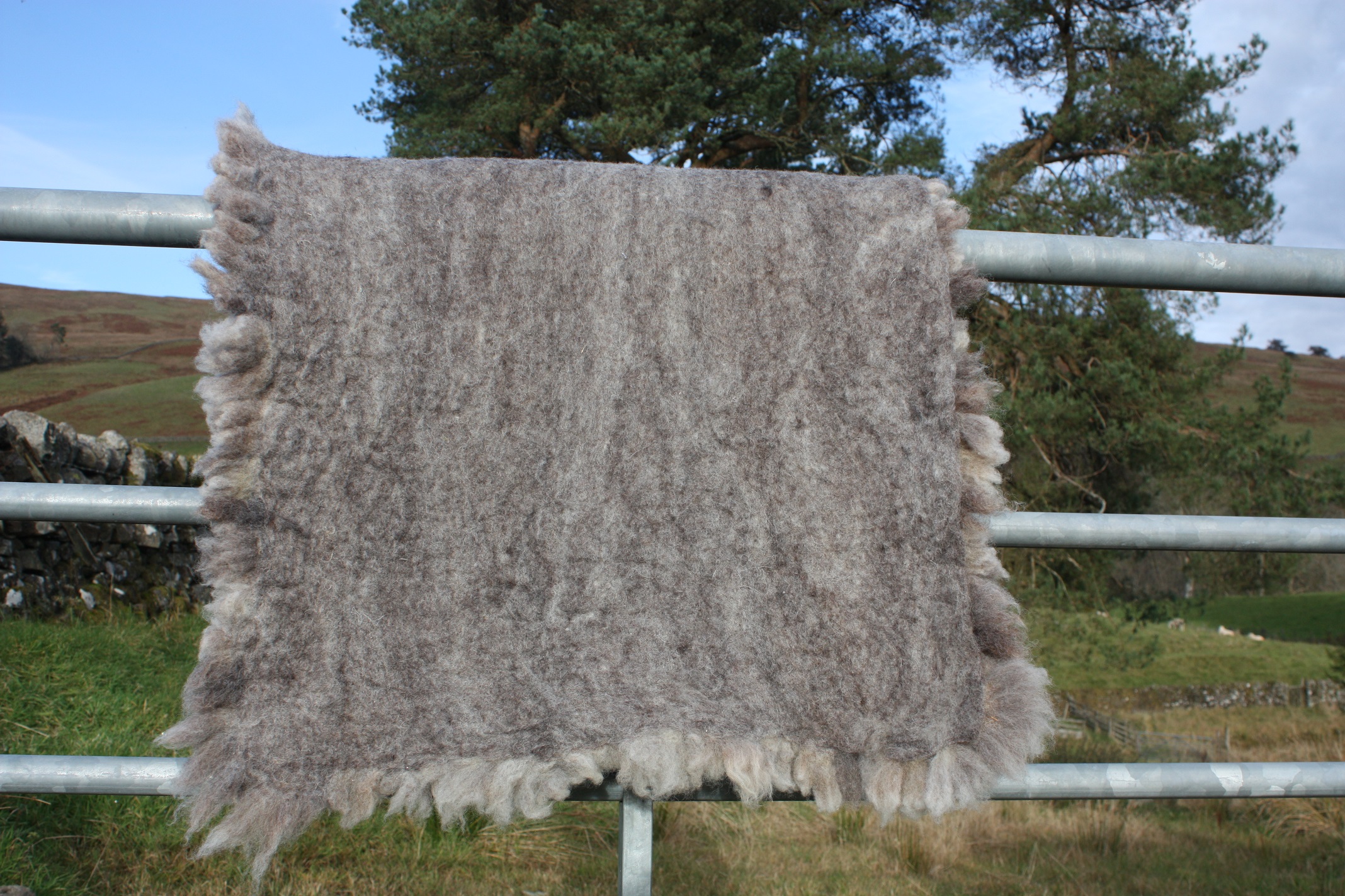 Homegrown felted fleece “sheepskin” rug, natural grey, beige, cream, Coloured Ryeland fleece – Ursi - Image 8