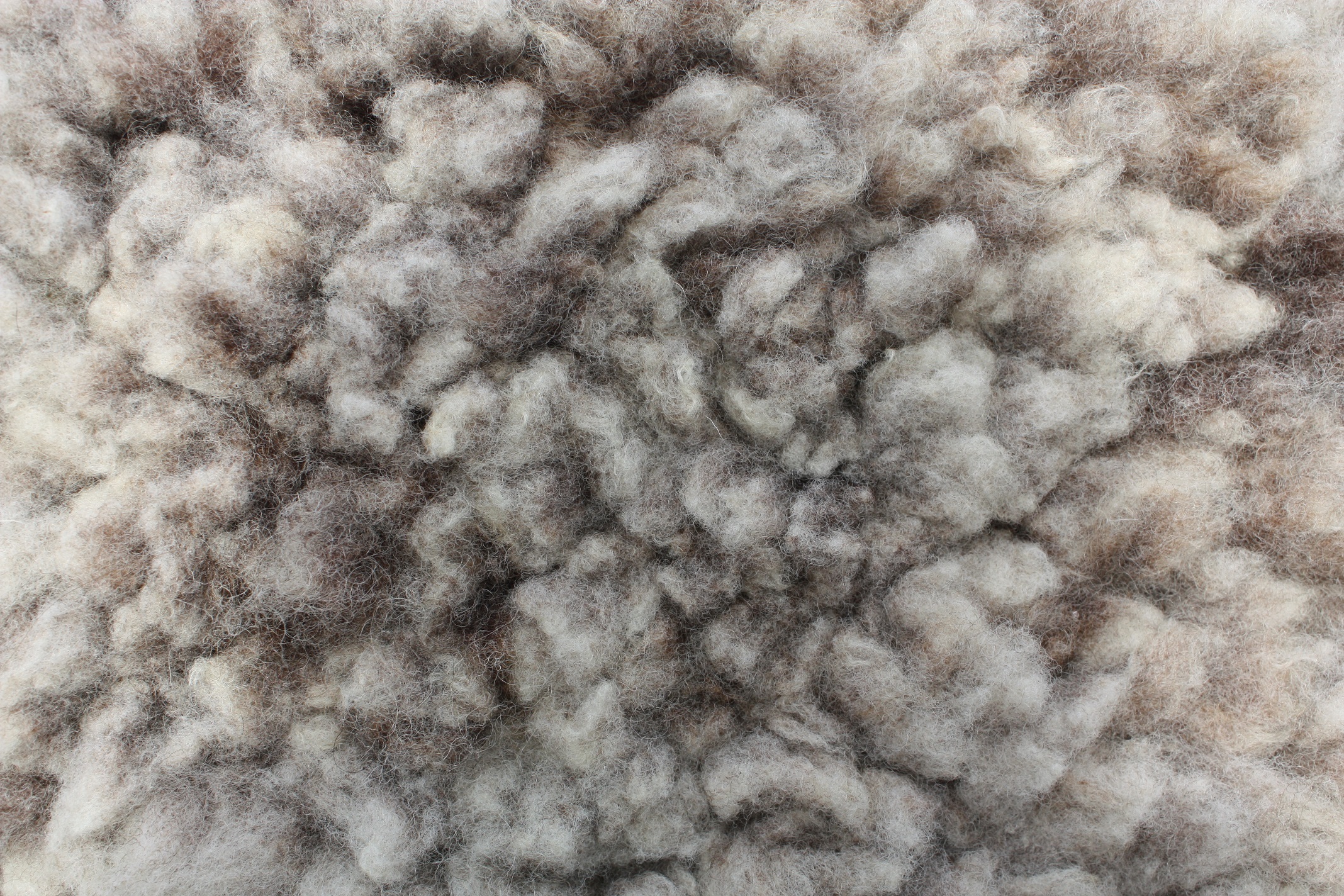 Homegrown felted fleece “sheepskin” rug, natural grey, beige, cream, Coloured Ryeland fleece – Ursi - Image 4