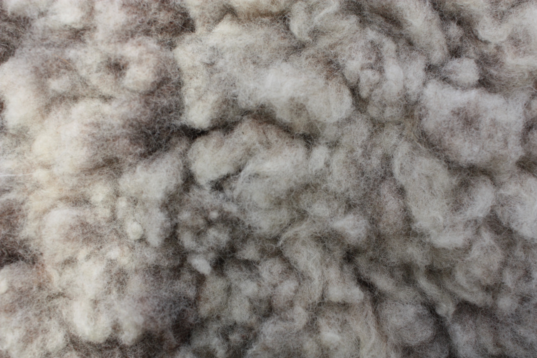 Homegrown felted fleece “sheepskin” rug, natural grey, beige, cream, Coloured Ryeland fleece – Ursi - Image 6