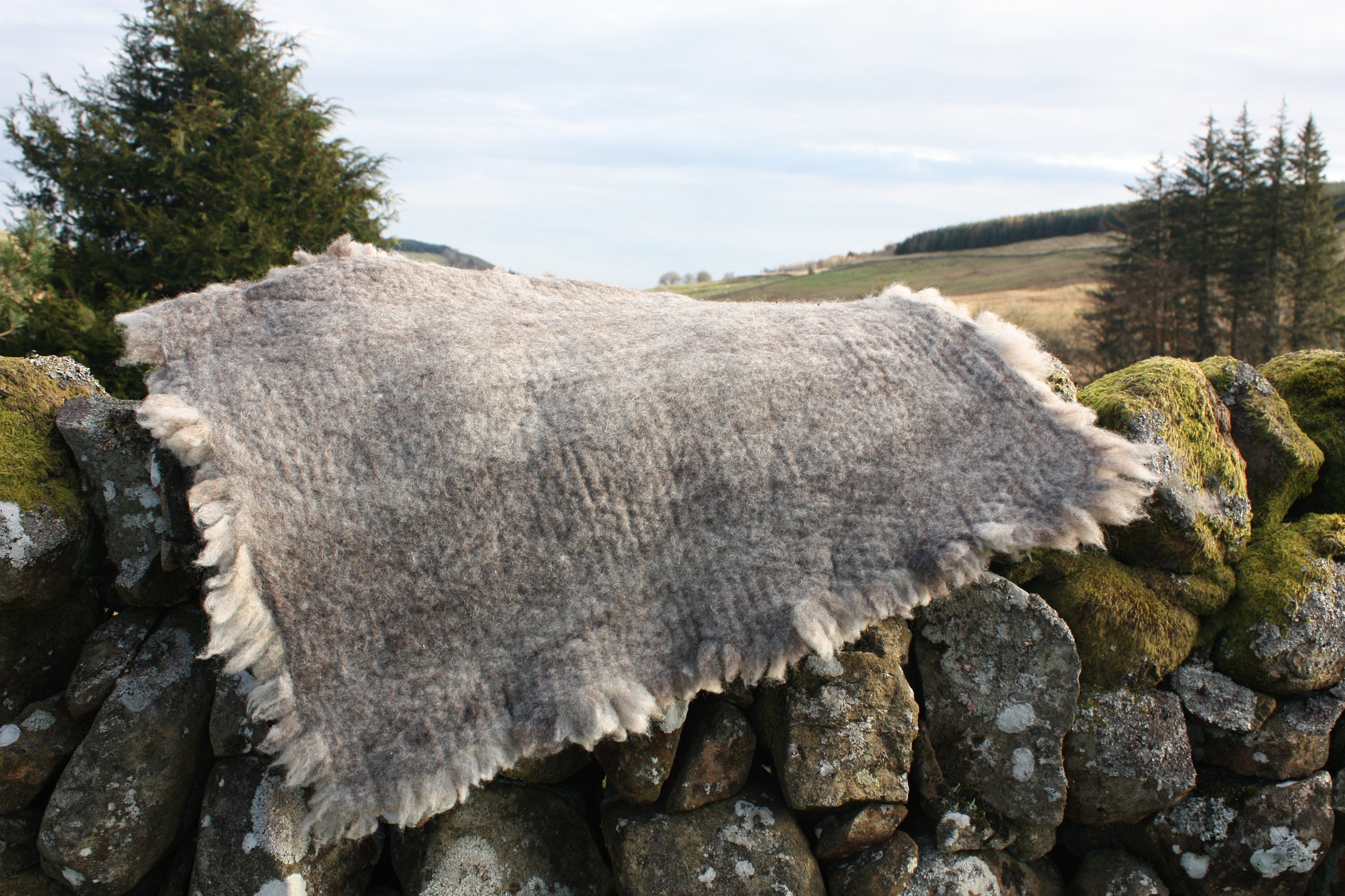 Homegrown felted fleece “sheepskin” rug, natural grey, beige, cream, Coloured Ryeland fleece – Ursi - Image 5