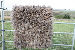 finished felted fleece rug