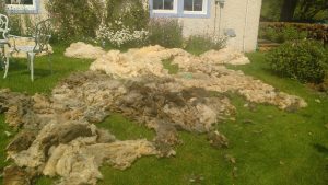 drying fleeces for felted fleece rugs
