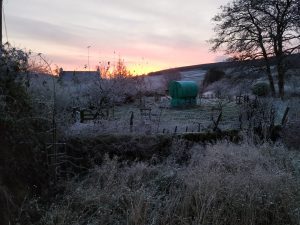 frosty morning at Auchenstroan