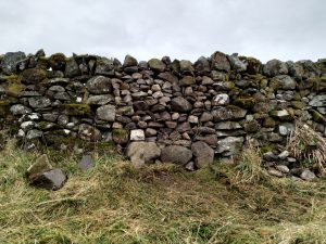 stone dyke gap filled