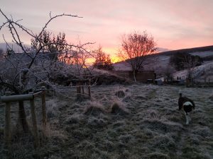 sunrise at Auchenstroan