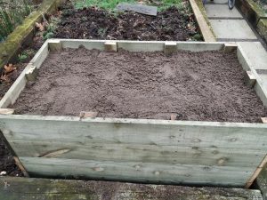 carrot box full of sand
