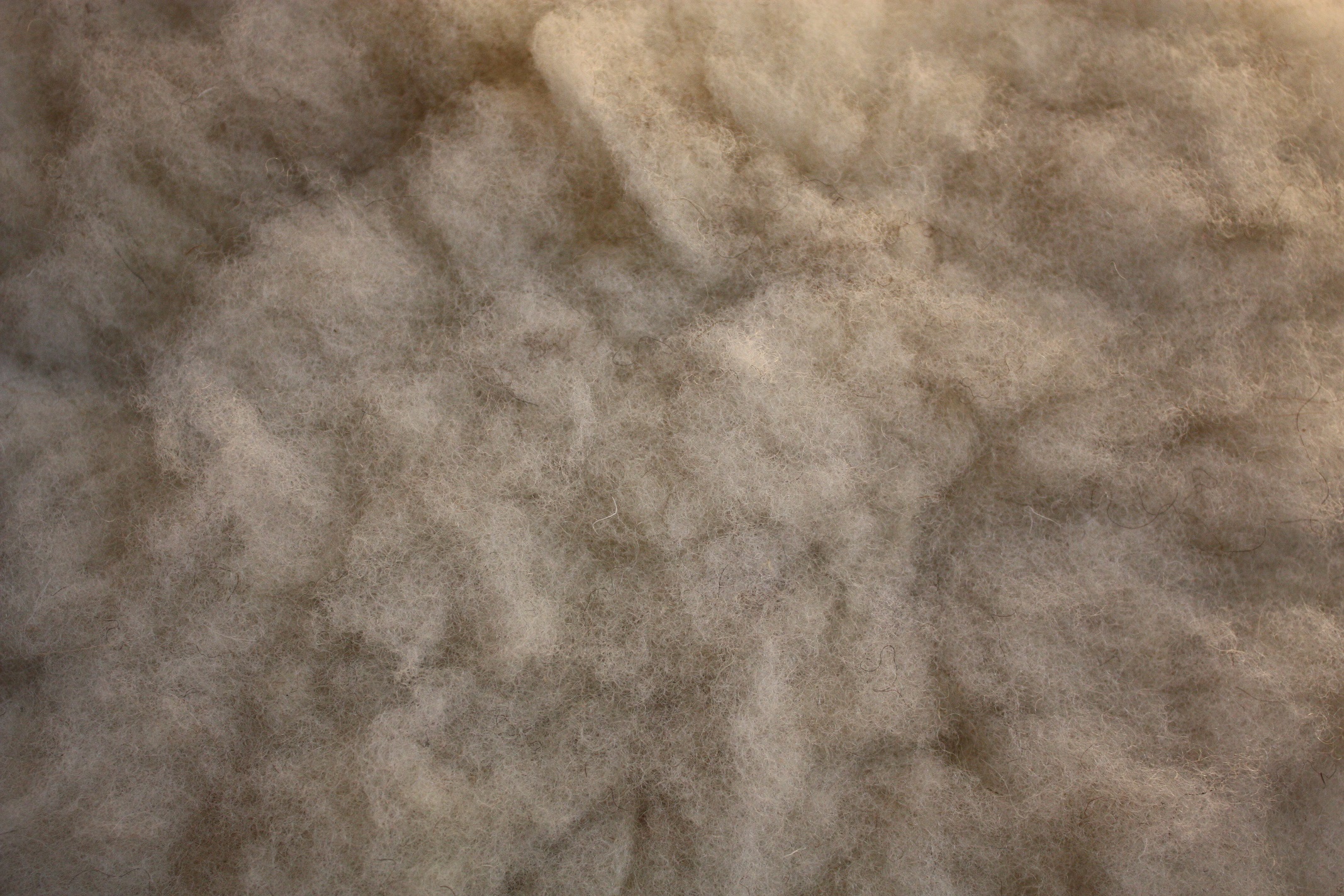 Homegrown, felted fleece “sheepskin” cushion, natural cream – Coloured Ryeland fleece - Image 3