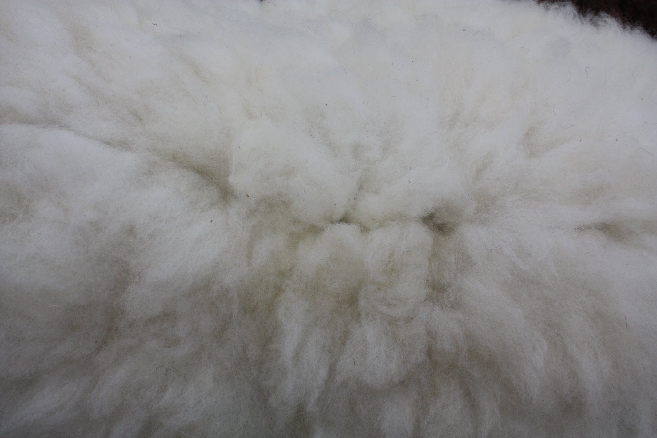 Felted fleece “sheepskin” rug, natural cream, ivory – Mule fleece – Mandy - Image 8