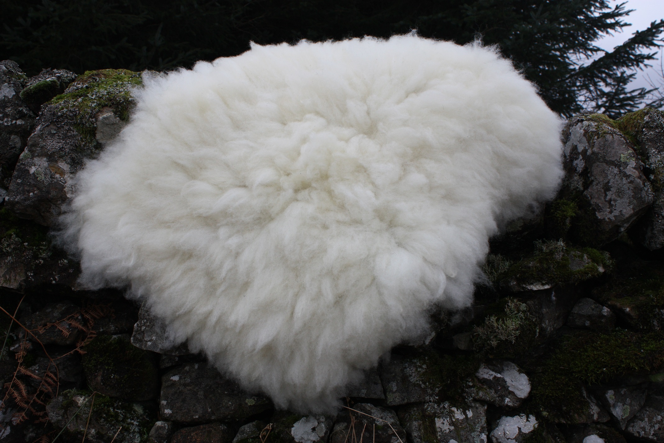 Felted fleece “sheepskin” rug, natural cream, ivory – Mule fleece – Mandy - Image 6