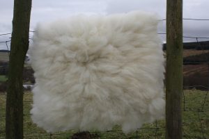 felted sheepskin rug Mandy